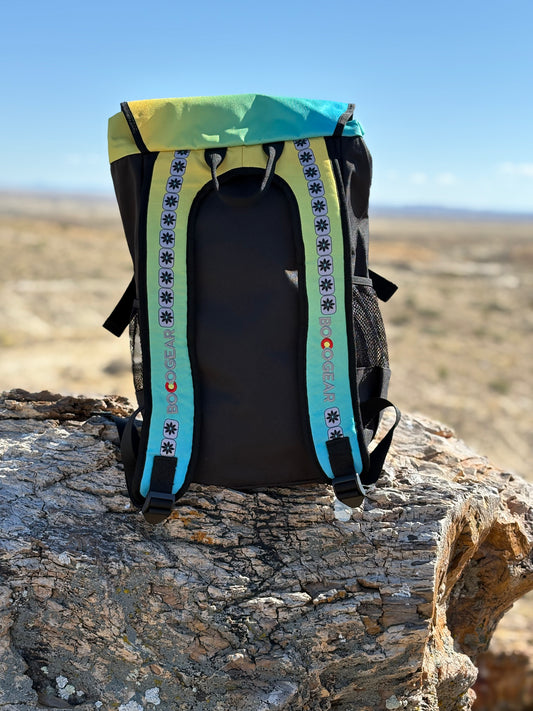 SWR Outdoor Backpack