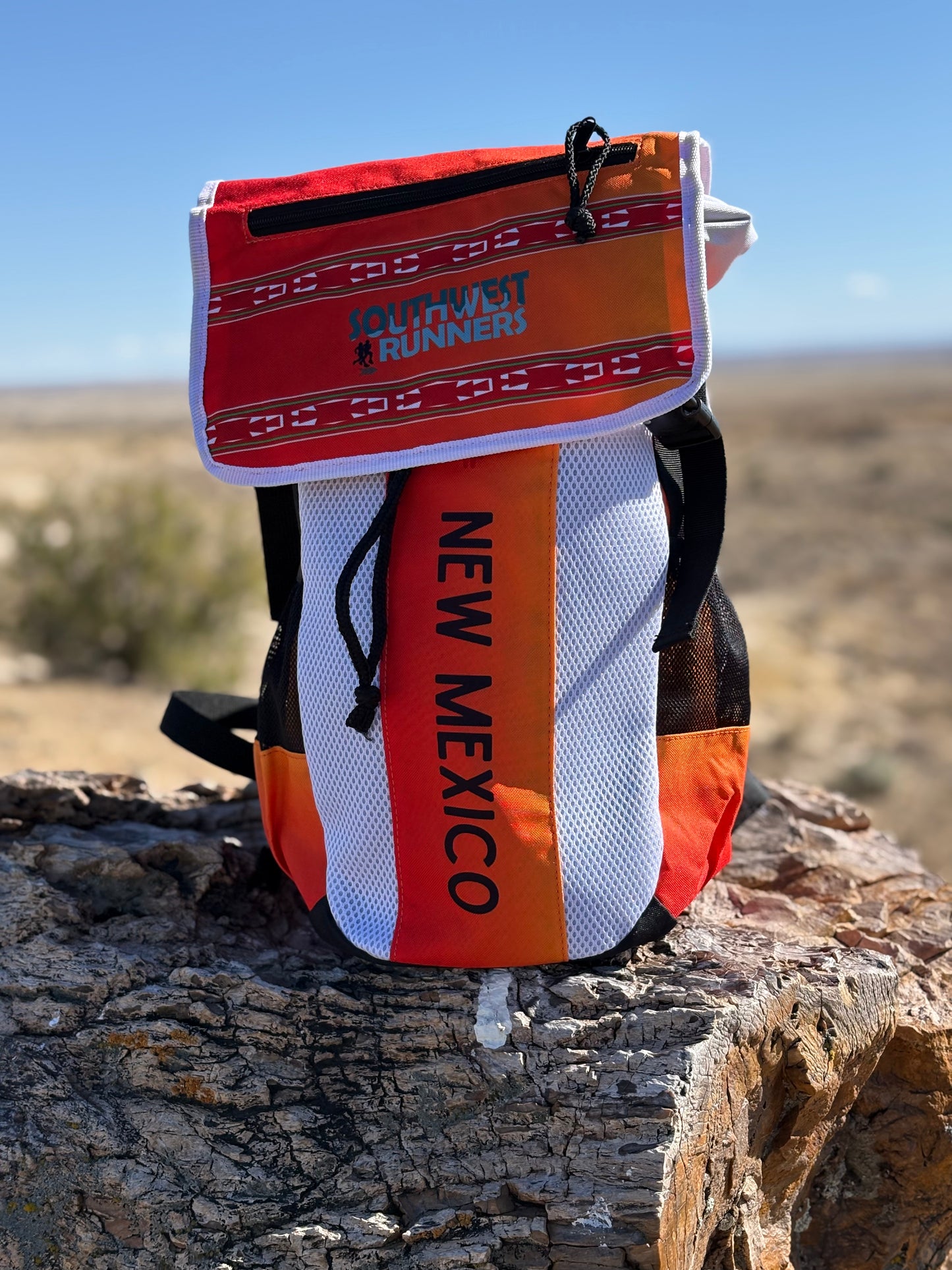 SWR Outdoor Backpack